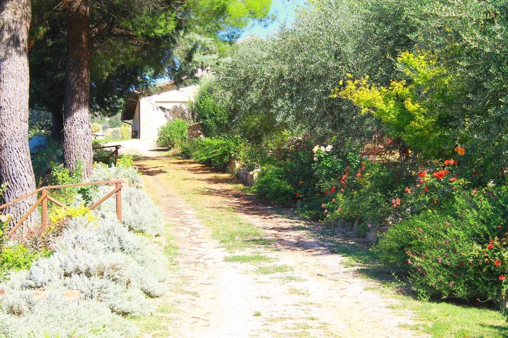 Antica Fonte Guest House Assisi Exterior photo