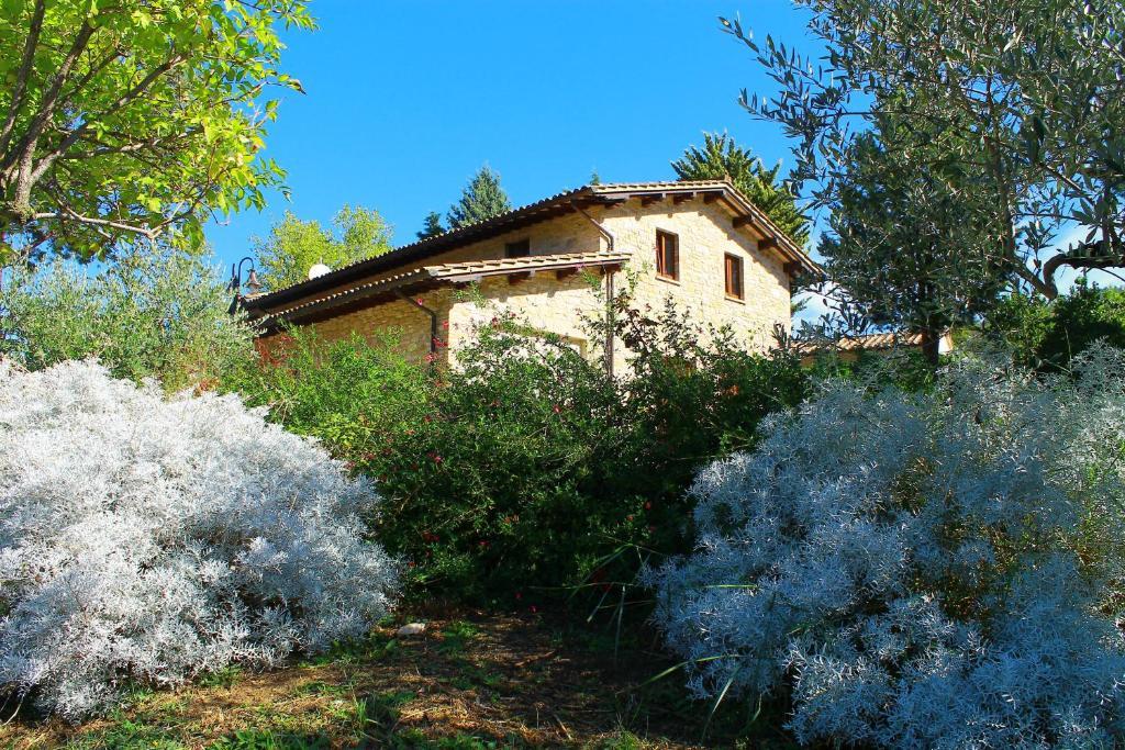 Antica Fonte Guest House Assisi Exterior photo