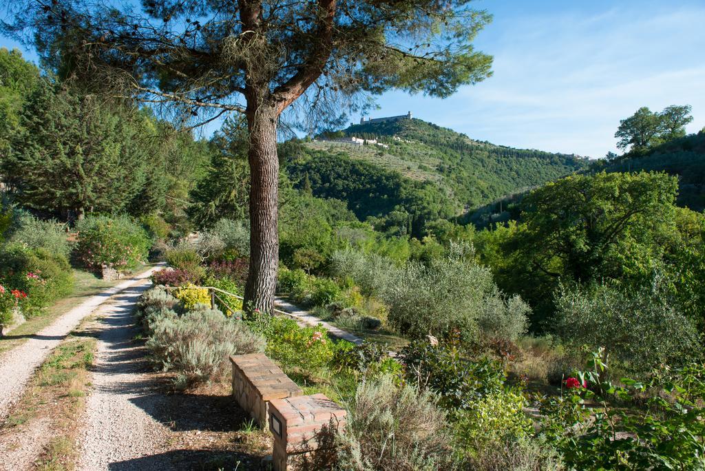 Antica Fonte Guest House Assisi Exterior photo