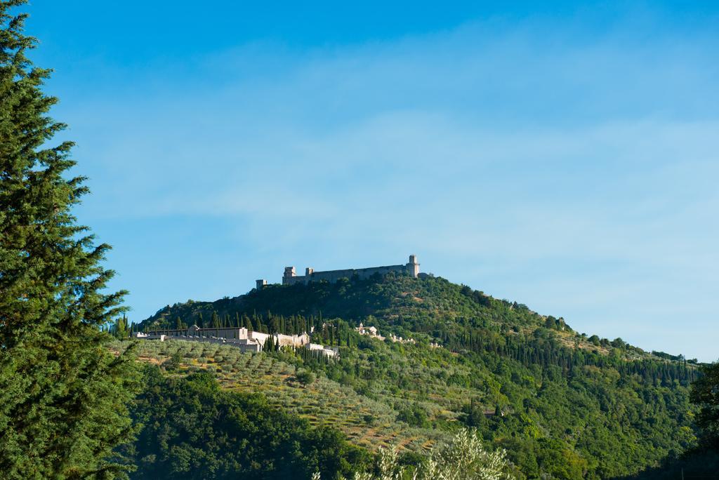 Antica Fonte Guest House Assisi Exterior photo