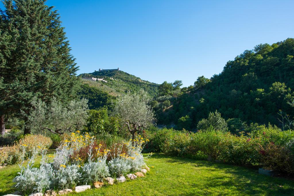 Antica Fonte Guest House Assisi Exterior photo