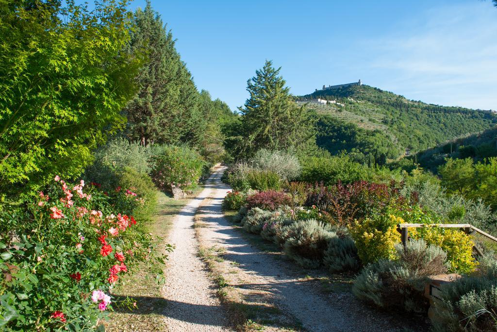 Antica Fonte Guest House Assisi Exterior photo